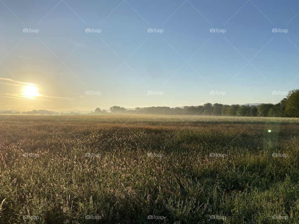 Early morning walk in autumn