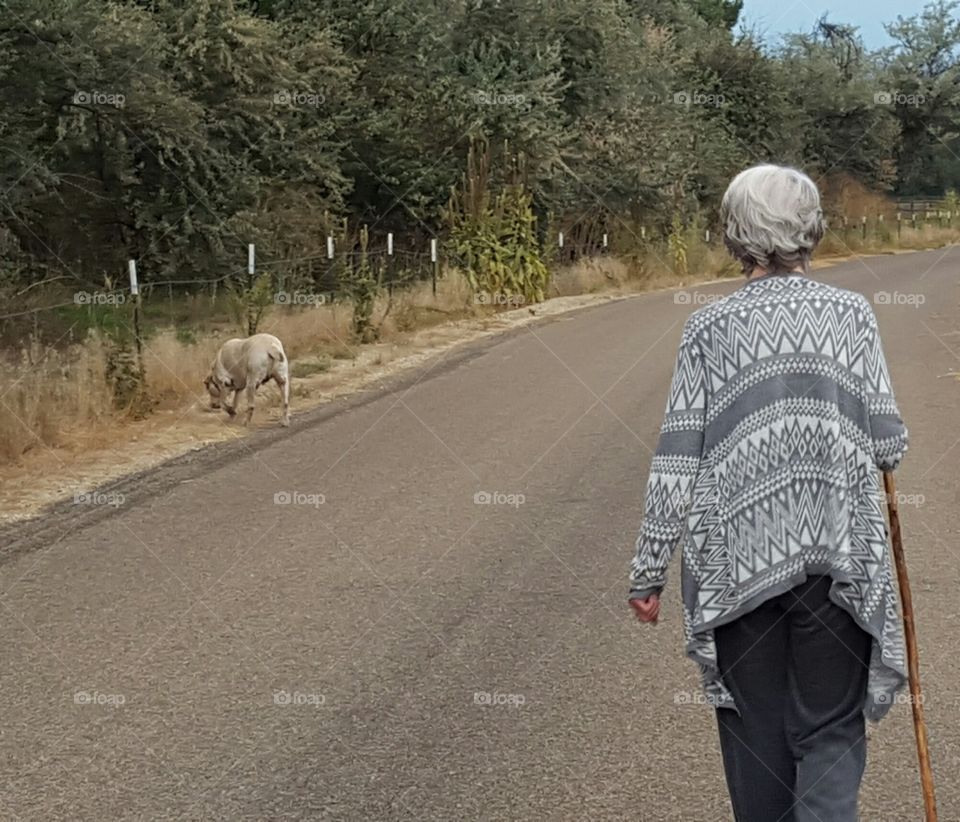 Or should I say her Grand-dog. This is my lovely Grandma on a walk with my self, my Mom, and my Mom's dog Jack. My Grandma a preserver of history, and yet always ahead of her time... even on a leisurely walk with ladies.