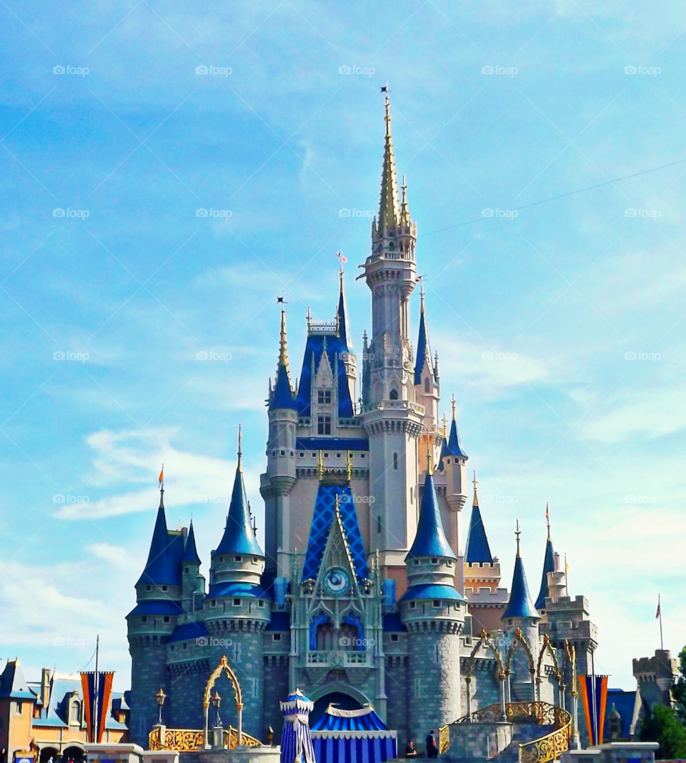 Disney world castle in daylight