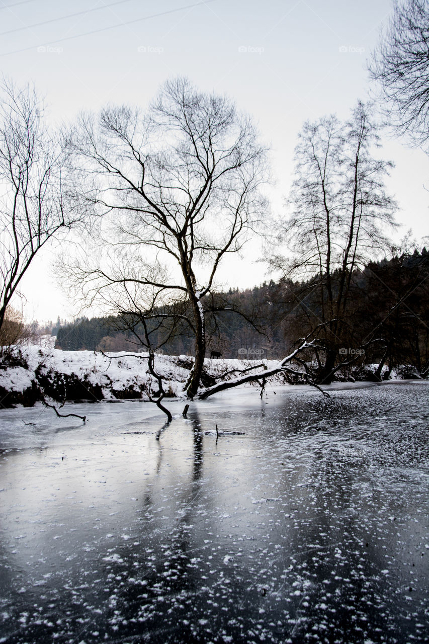 Frozen River