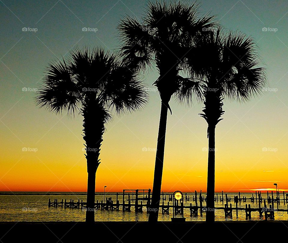 Three Palms and a sunset