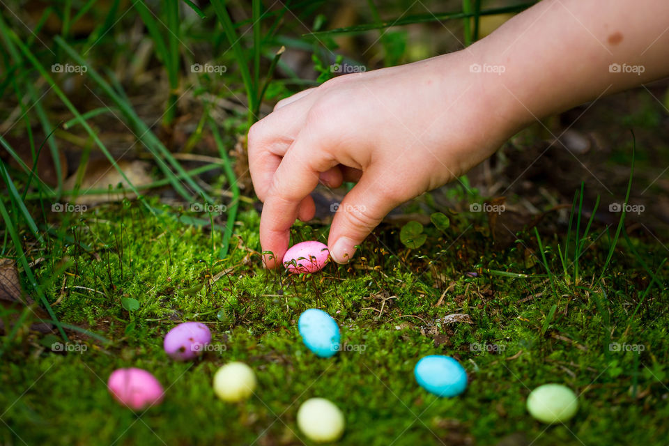 Little girl picking up mini Easter eggs during an Easter egg hunt. Colorful Easter eggs on a bed of moss with hand reaching out to get one.
