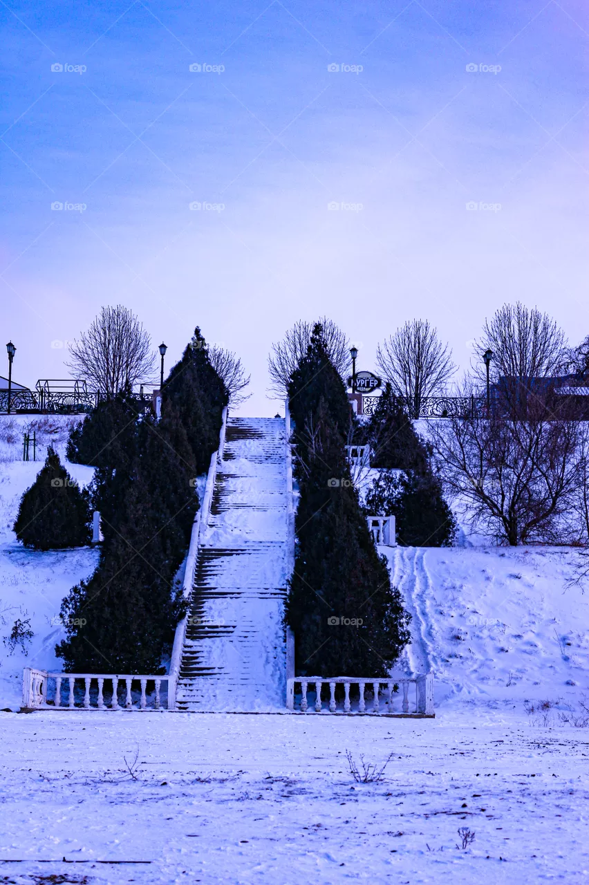 Stairs strewn with snow
