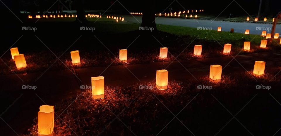 Lighted Path during the Holidays