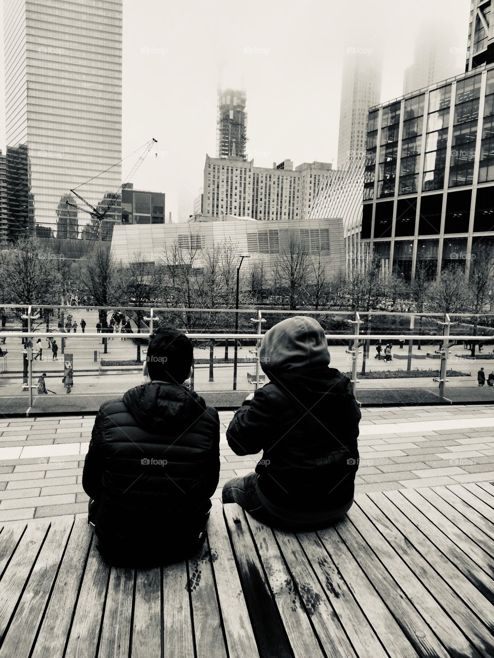 Looking to the silence 