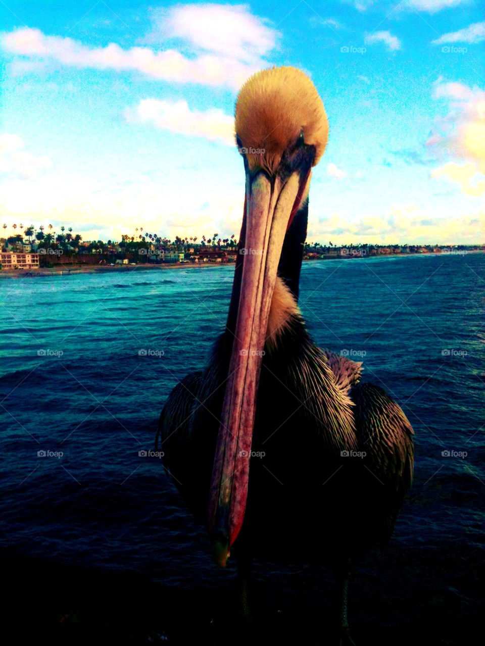 ocean sky nature clouds by itsAus