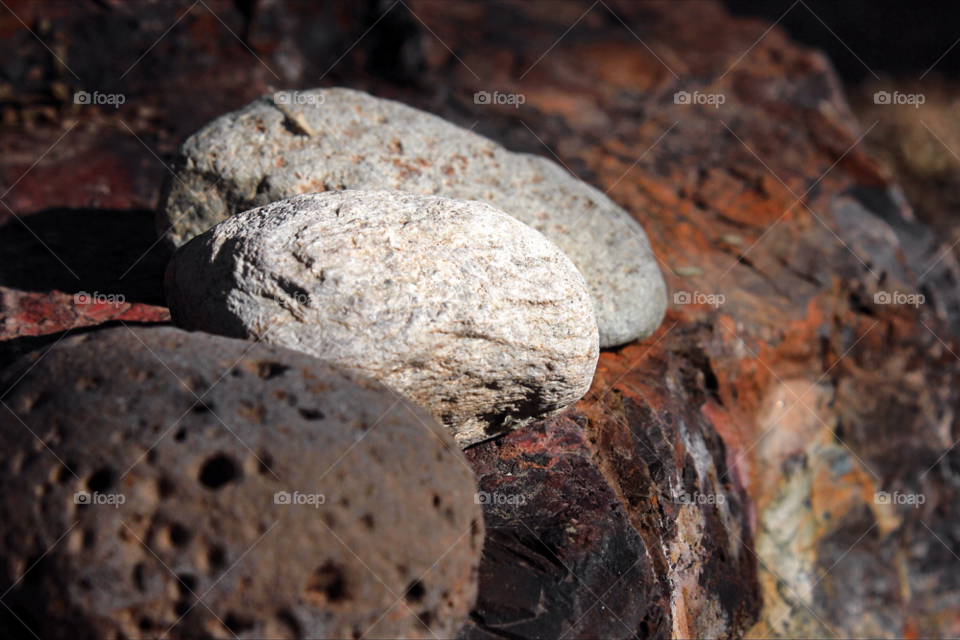 light nature outdoors red by stevehardley7
