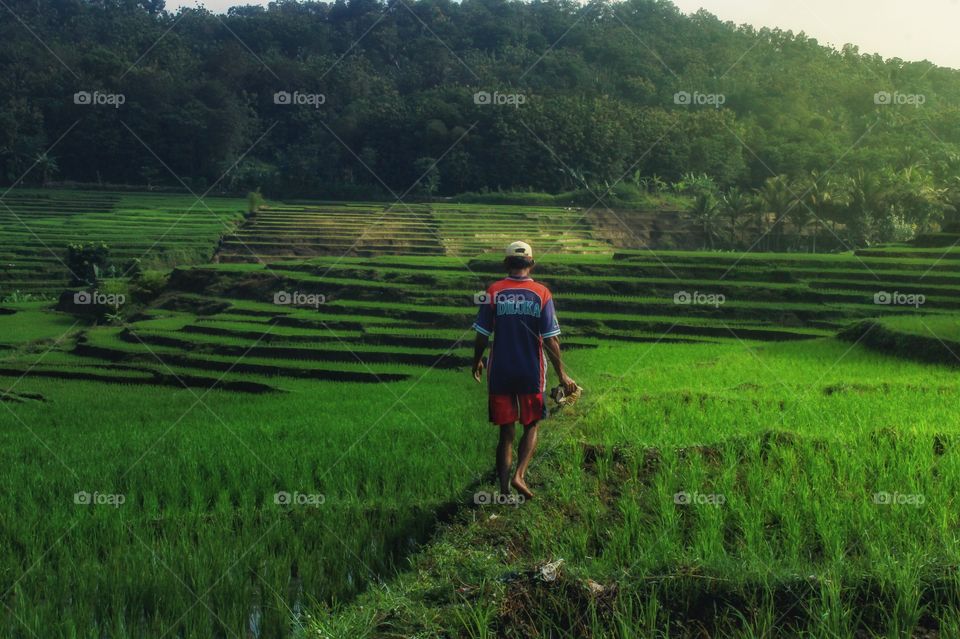 farmer work in morning