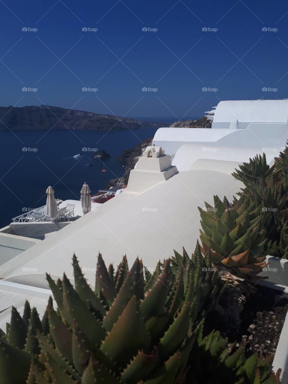 Vegetation and white traditional buildings  with sea view.