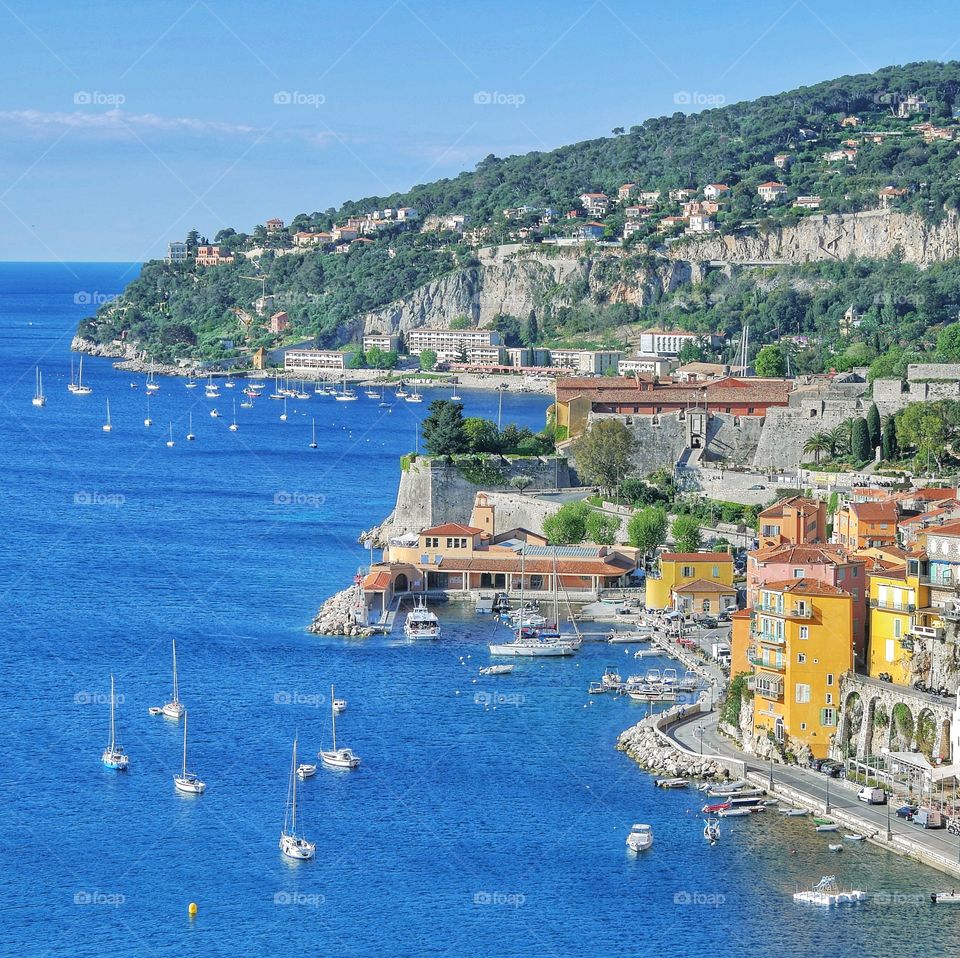 Life along the shore