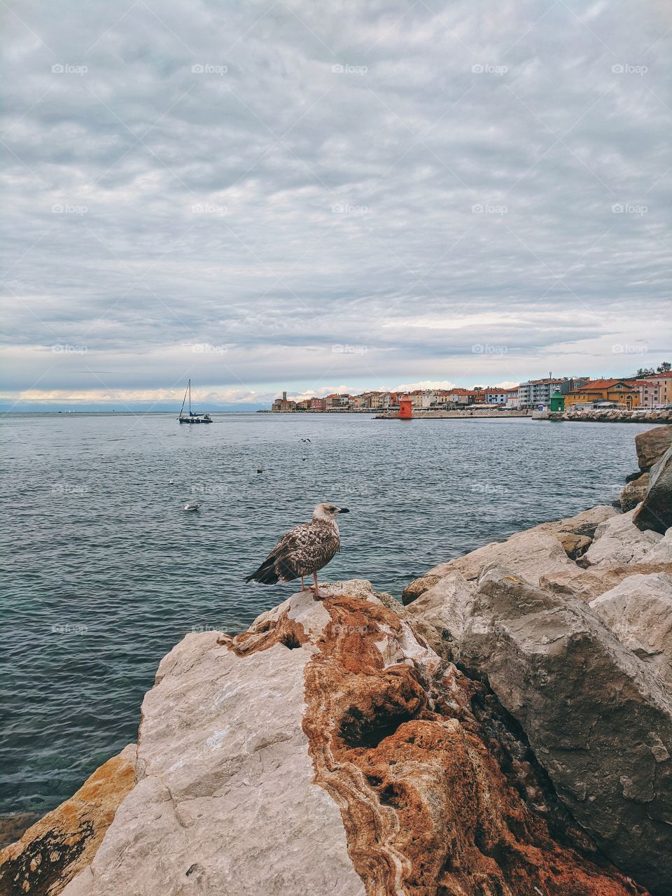 Once vacation in Piran at 6 am.