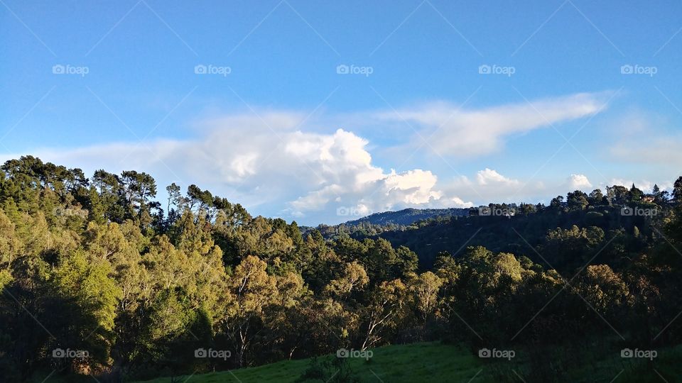 Afternoon landscape photo showing beautiful trees hills and semi cloudy skies in Oakland California