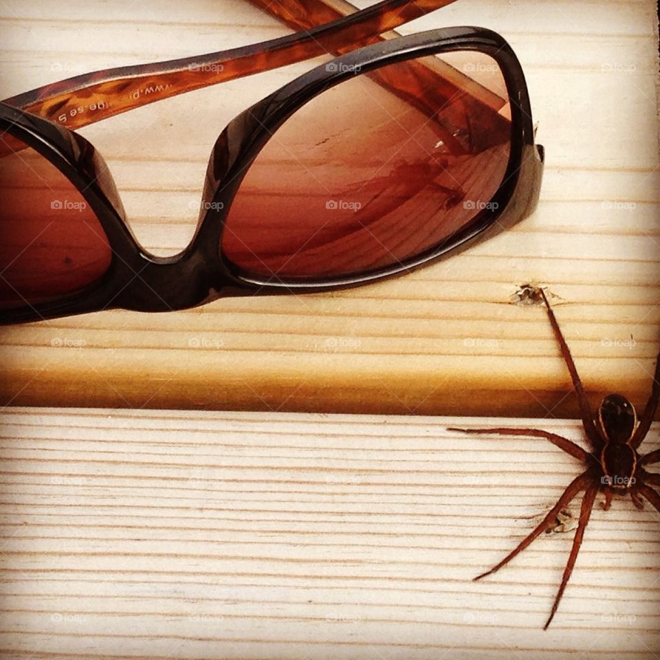 Spider and glasses close up