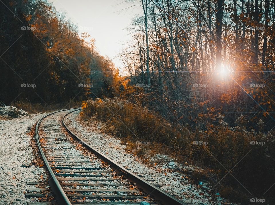 wonderful evening walk