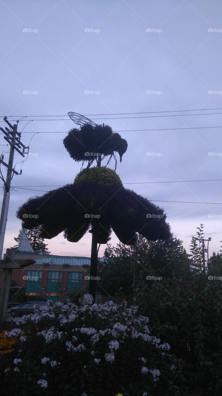 Giant bee 🐝