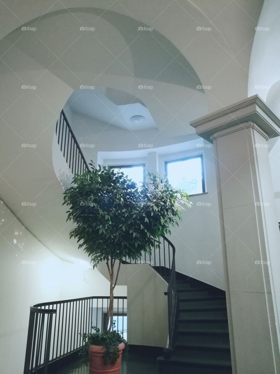 Stairs in the Court Yard Frankfurt/Main