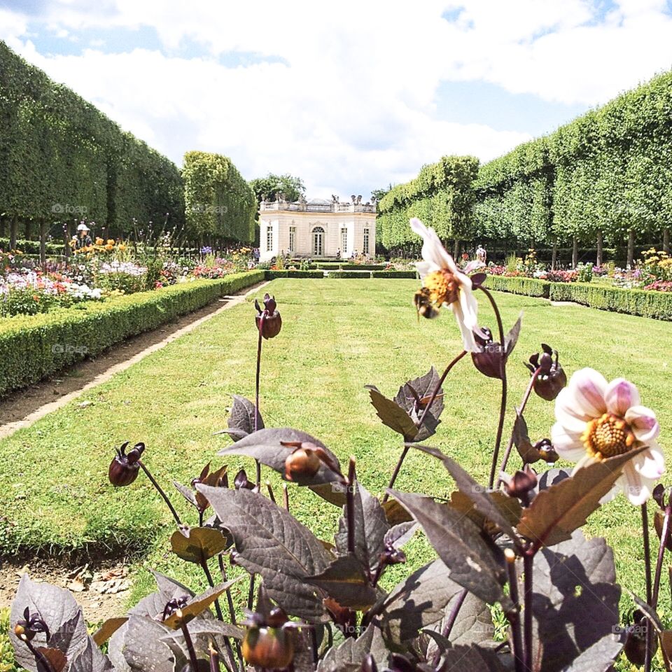  Versailles