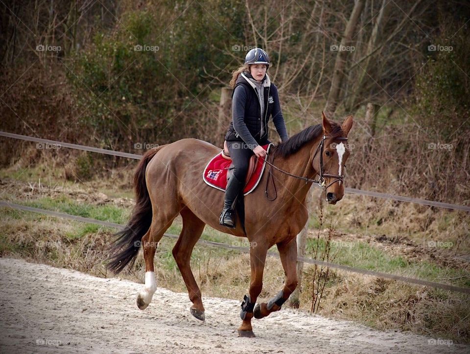 French young rider during her training with a French saddle horse mare, Naïade 