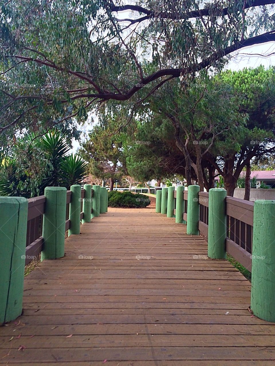 walks through the park