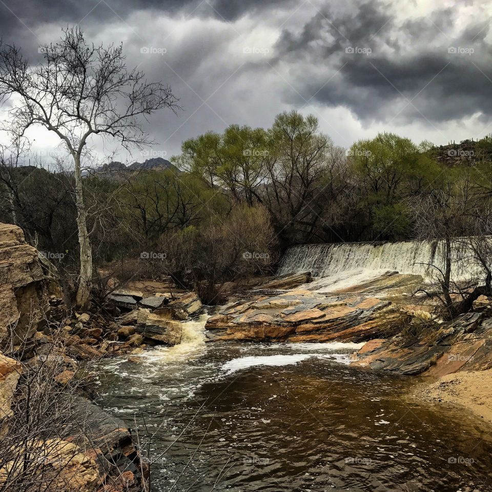 Desert Water Landscape 