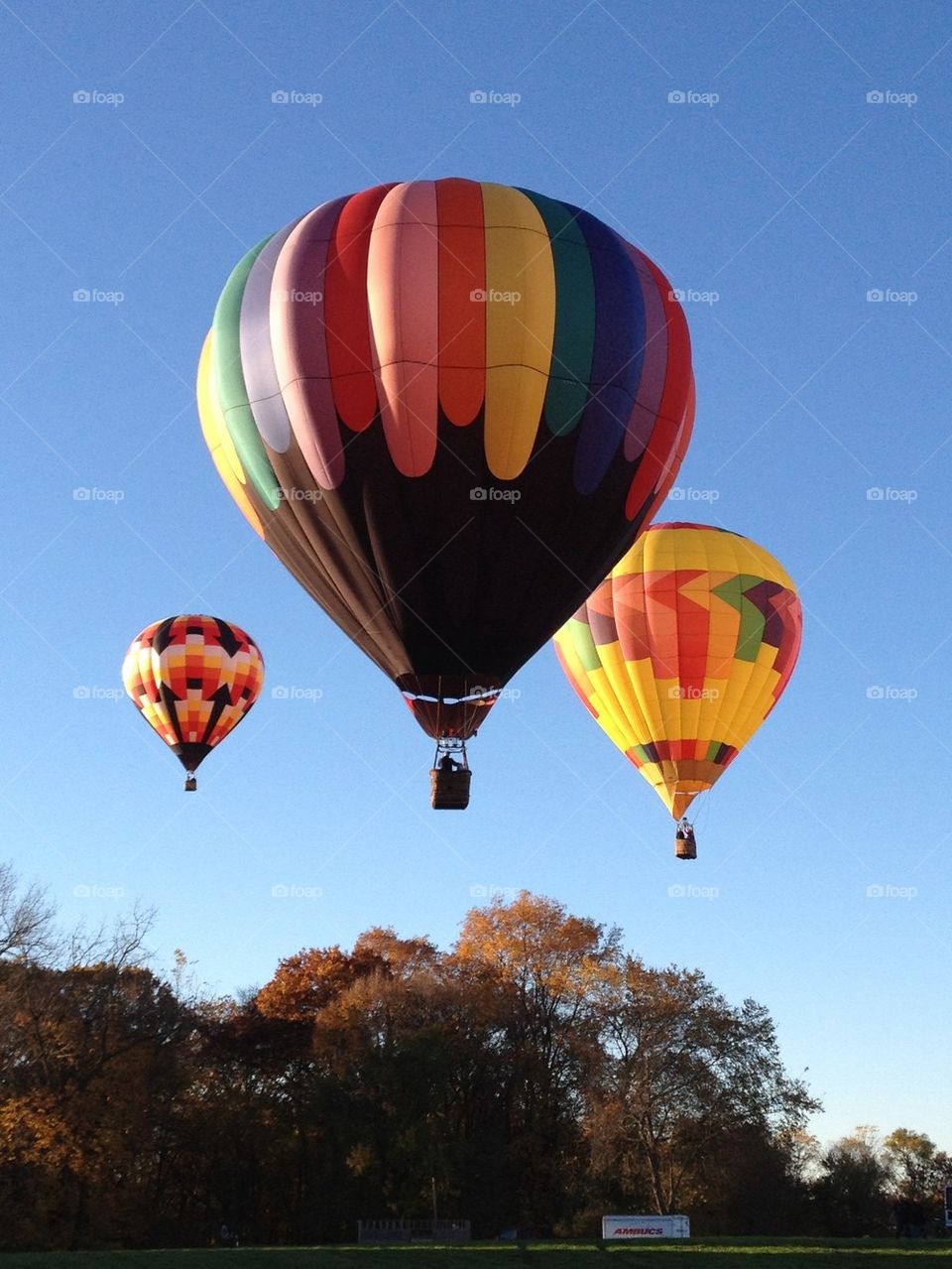 First light flight