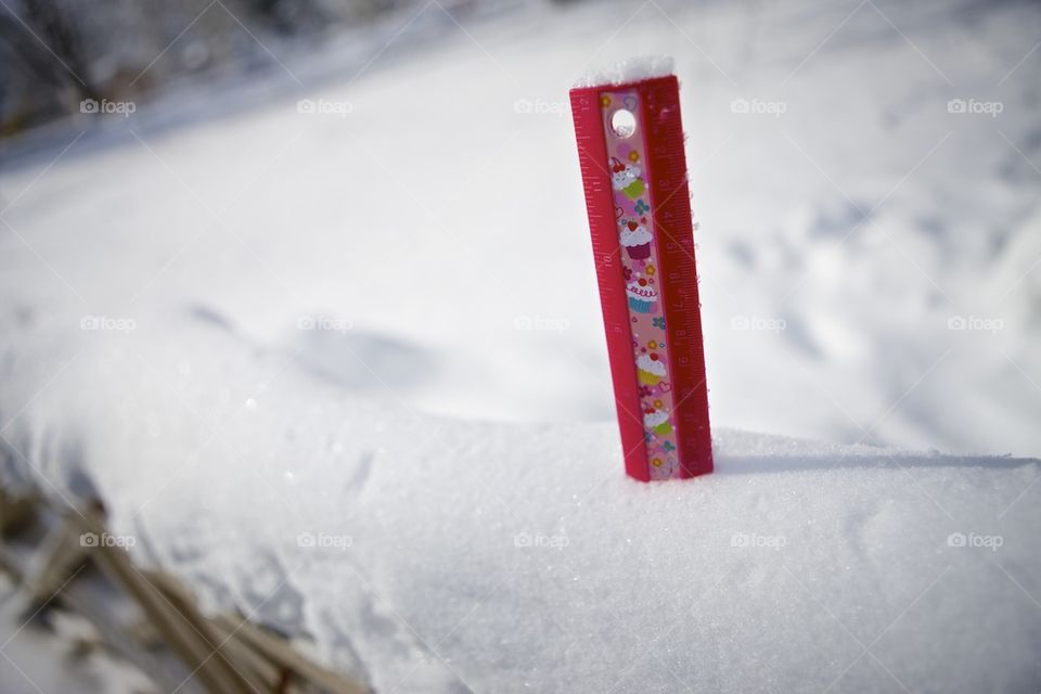 Measuring the snow 