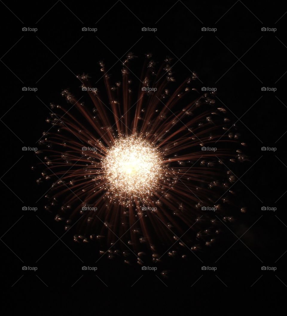 Dandelion firework