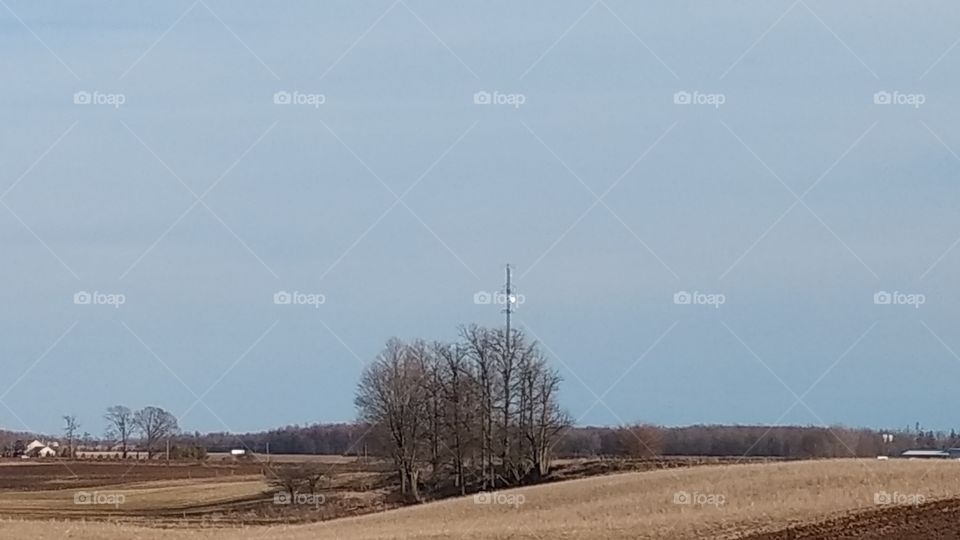 No Person, Nature, Landscape, Tree, Outdoors