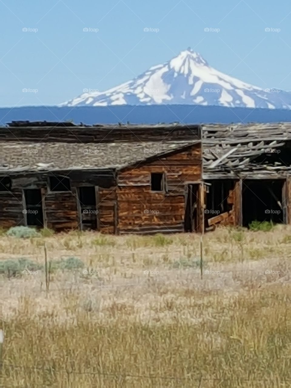 Old Western Stable against Mt. Jefferson