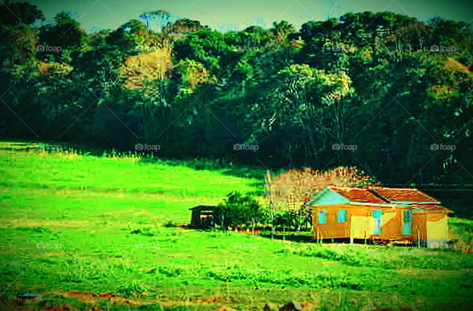 Paisagem rural