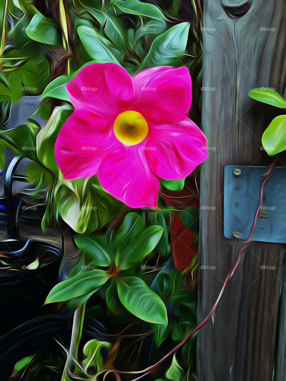 Abstract Wild Violet