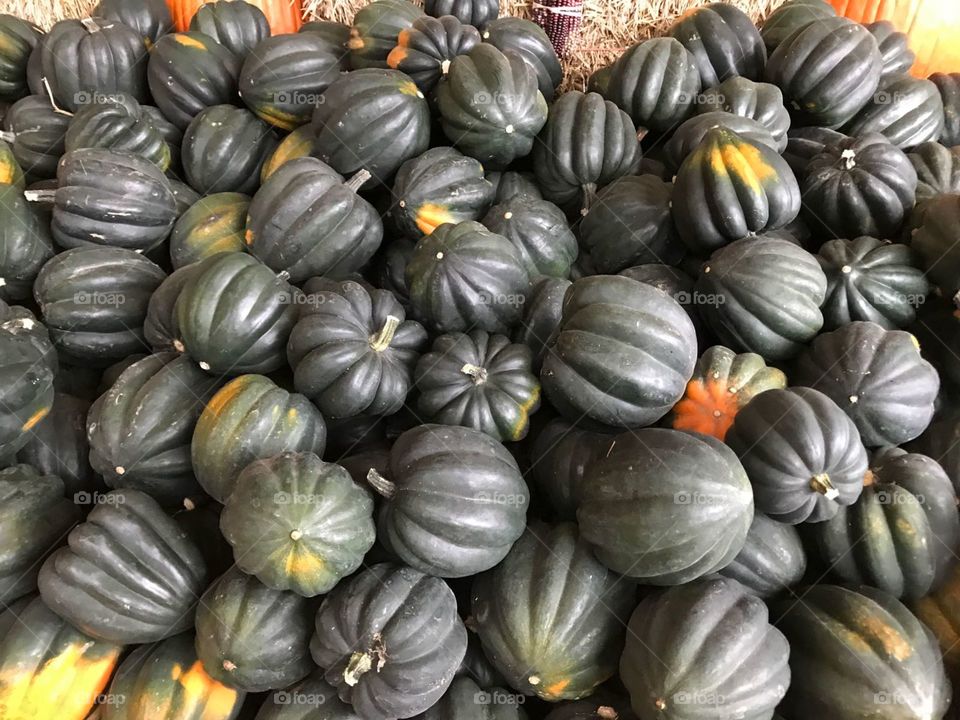 pumpkins many