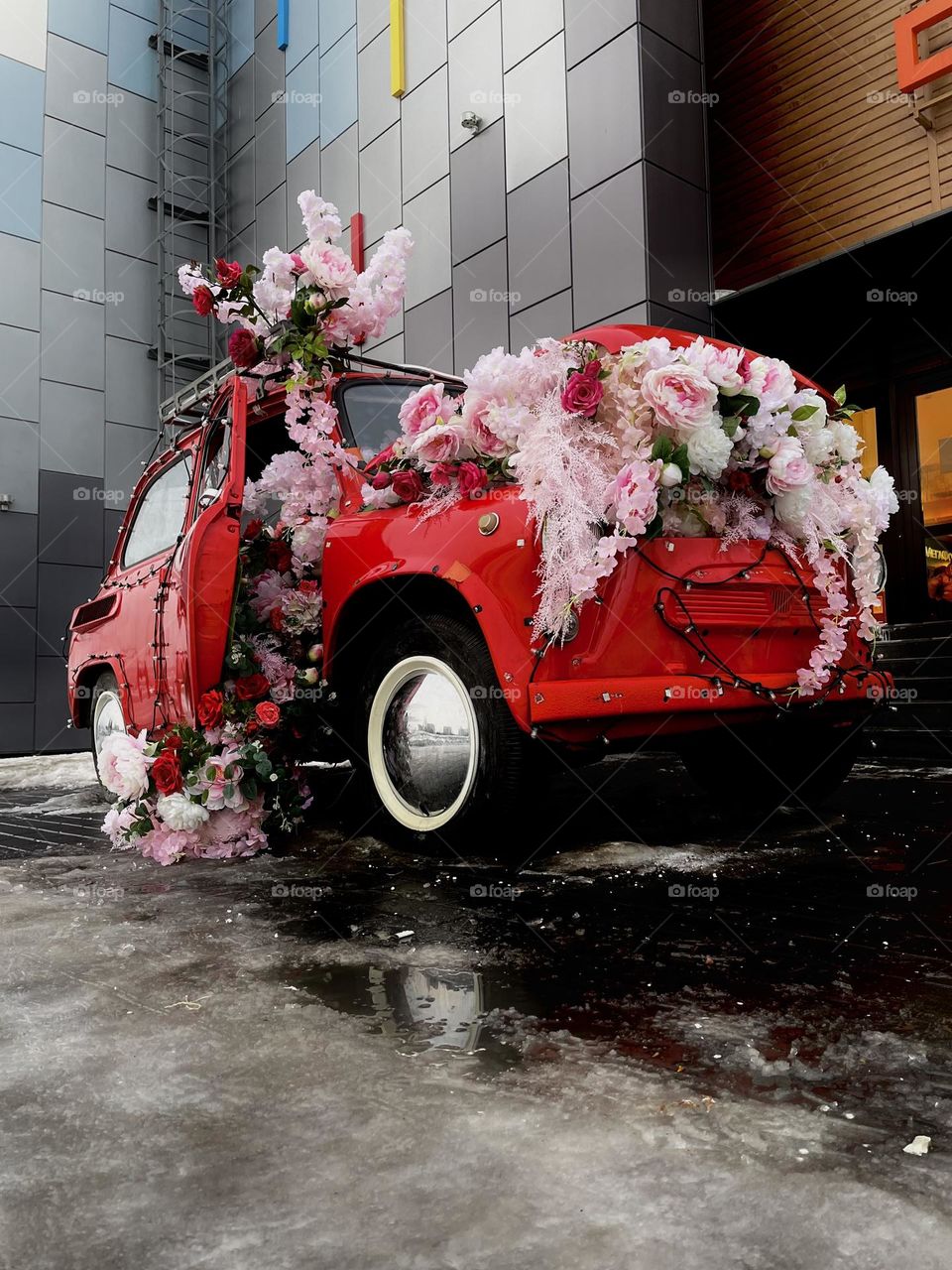 I 'am weary of being here. In the spring I shall go to Siberia."