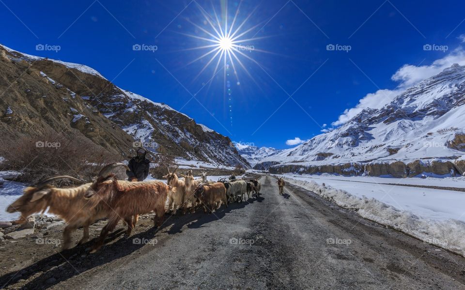 time to go home boys..