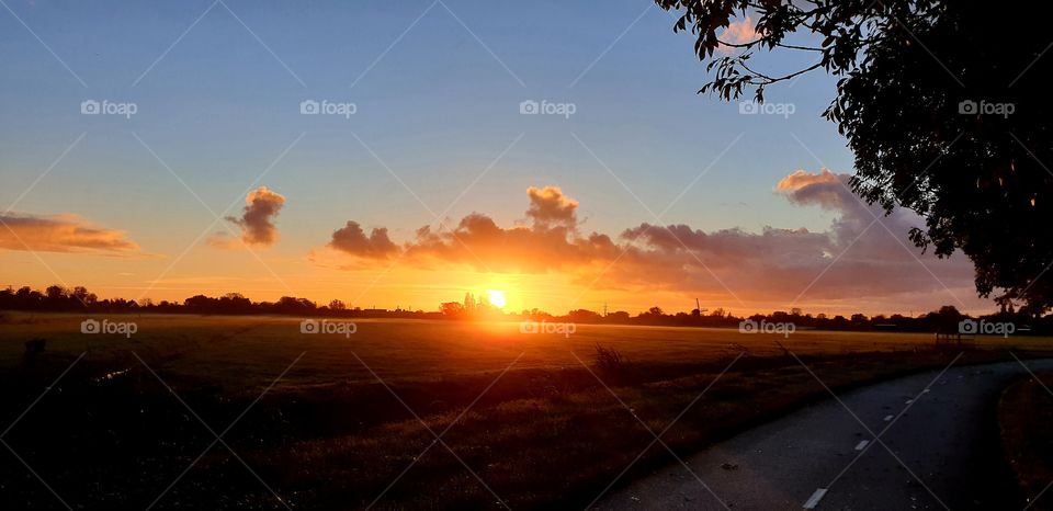 Breathtaking sunrise view of a foggy fields