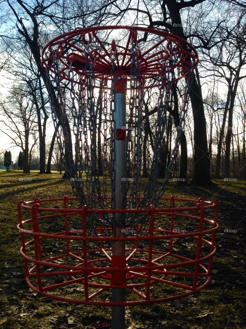 Disc Golf 3