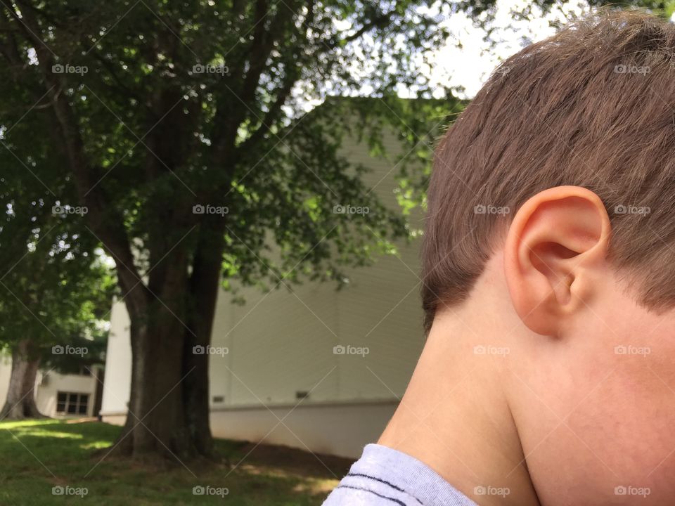 Listening for Summer