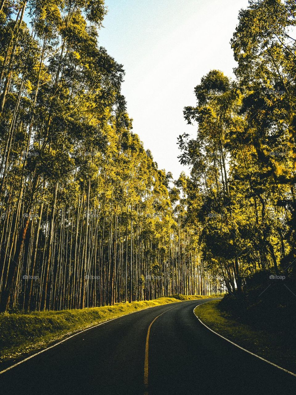 Limuru, Kenya. What a sight to behold.