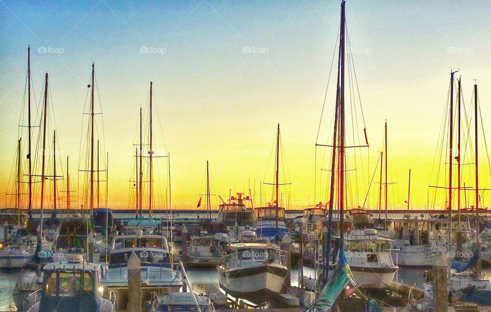 Fishing fleet in California harbor