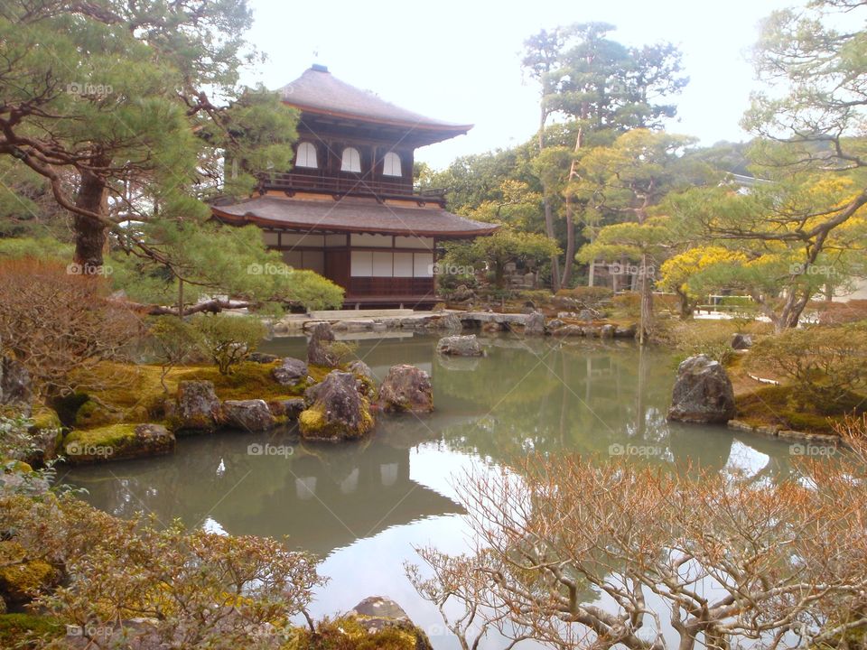 autumn in Japan