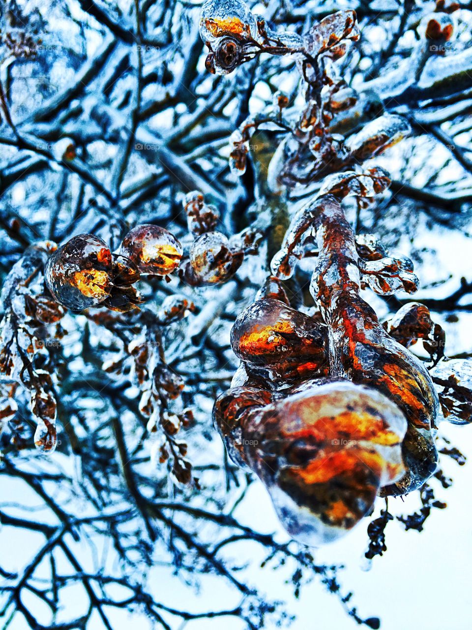 Ice storm 