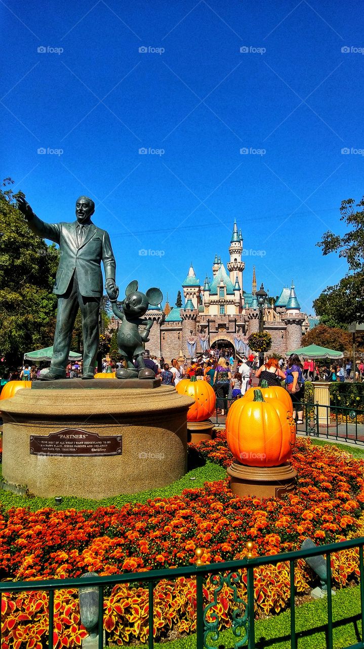 Walt says Happy Halloween
