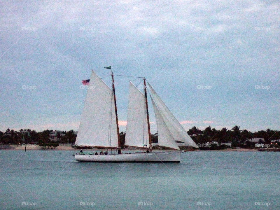 White sailing