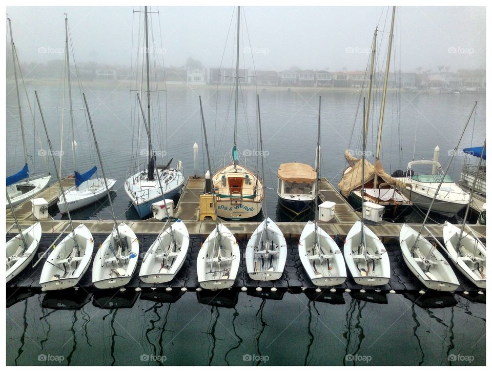 Newport Harbor boats fog