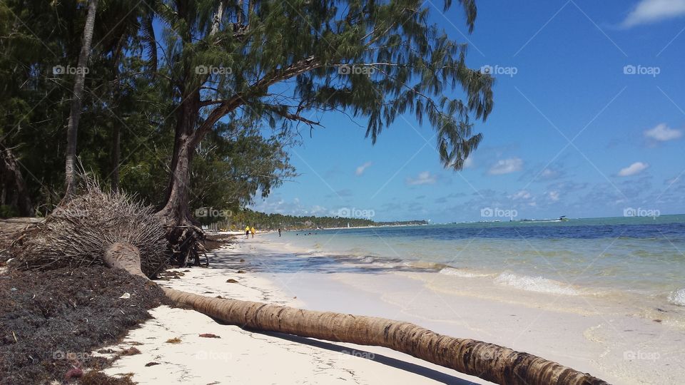 Punta Cana Dominican Republic