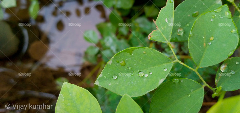 Be careful for water.....