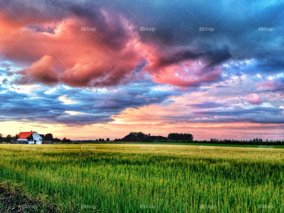 Sunset over the fields