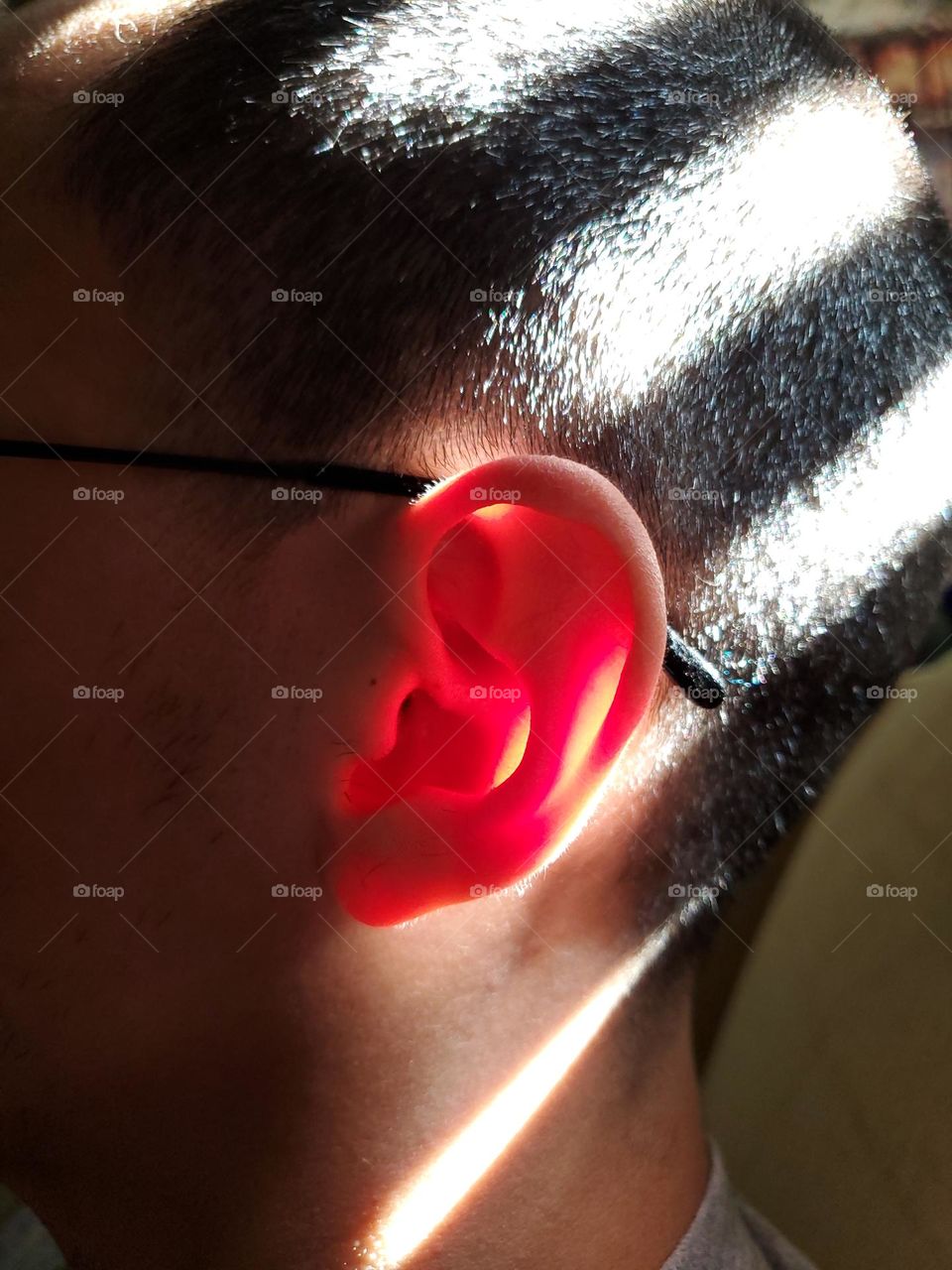 The face starts from one ear to another.  Here is an in interesting view of the skin on the side of the face created by shadows and sunlight that give the ear a slightly translucent red glow.