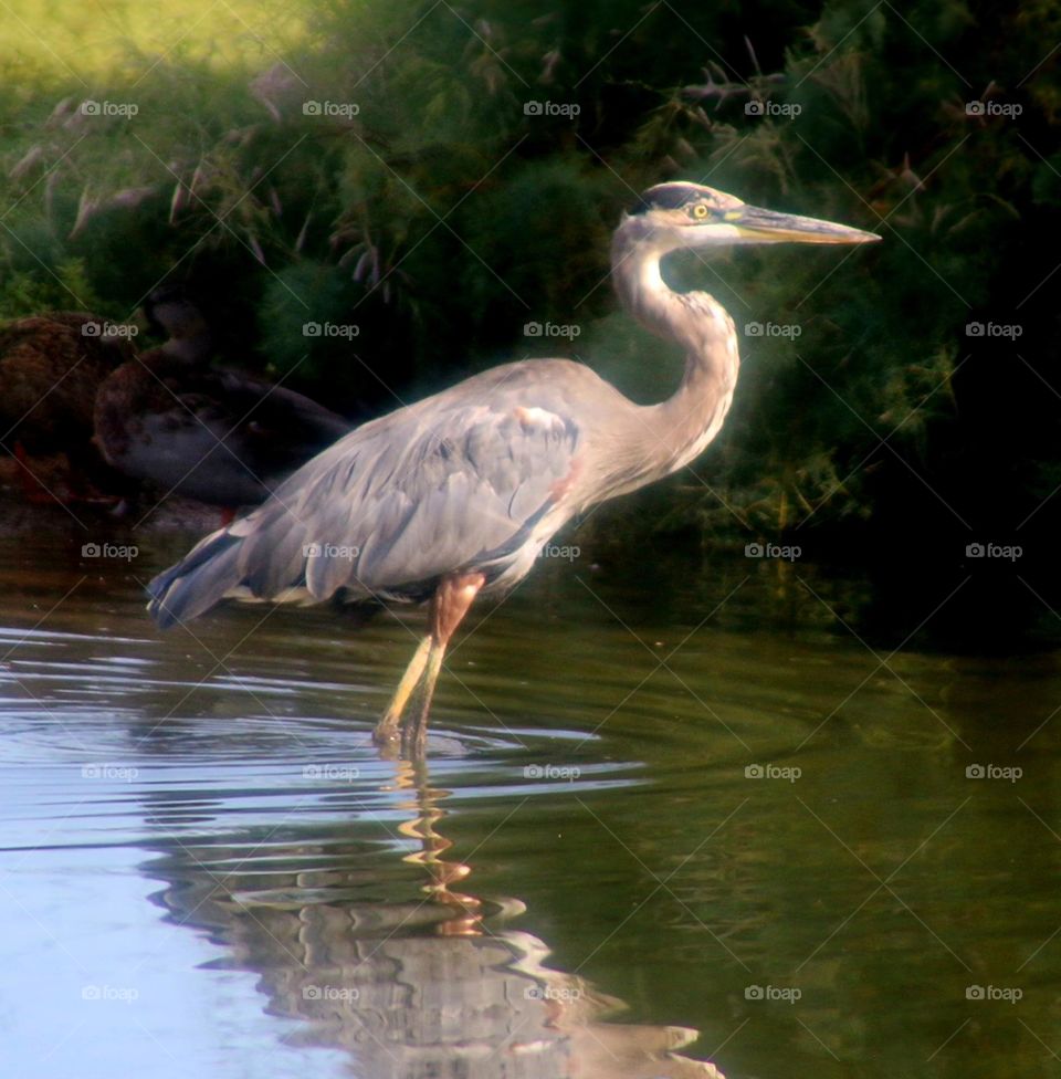 The Beautiful Art of Nature