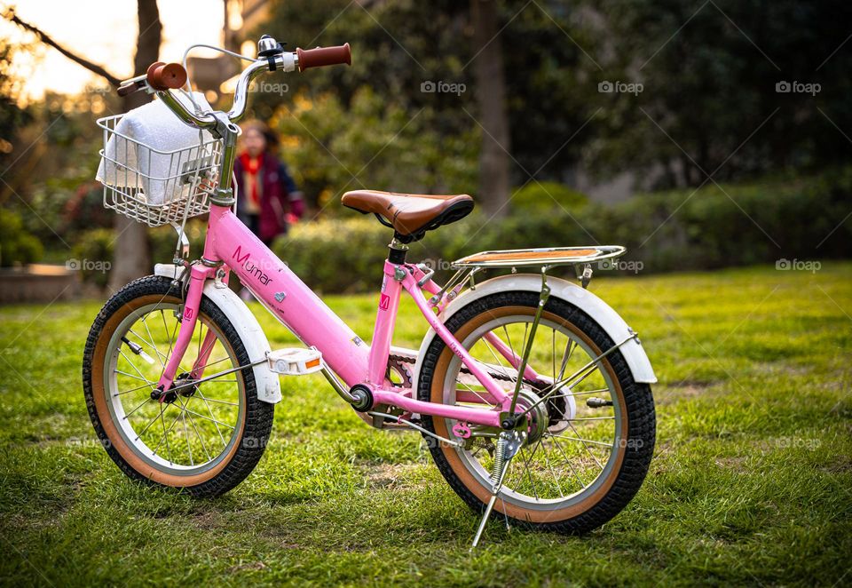 The leftover bike in spring.